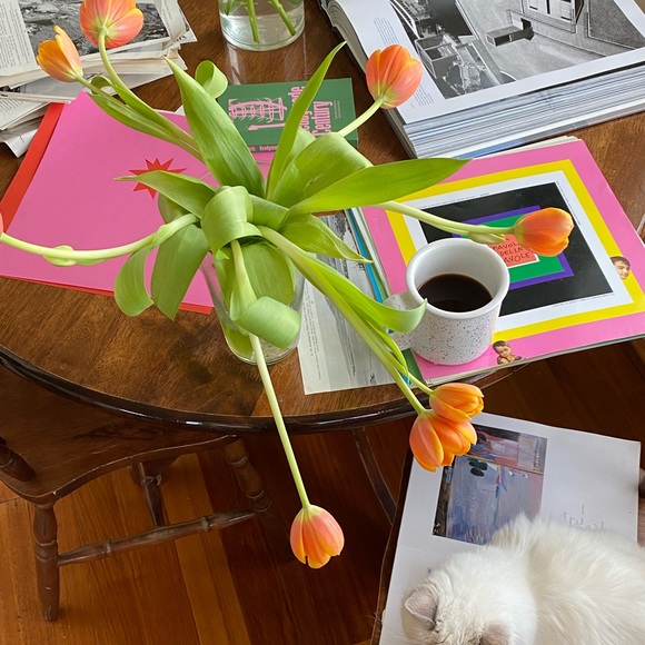 Meet your Posher, Ruby - Picture 1 of 1